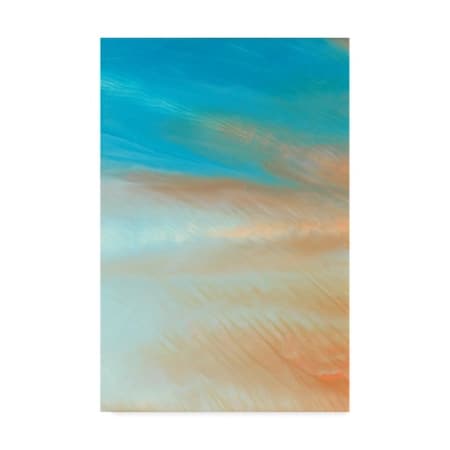 Vanna Lam 'Neptune Sky Iii' Canvas Art,16x24